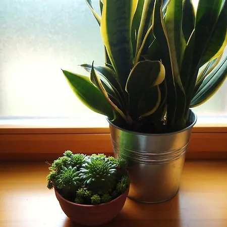 Apartament Politechniczna 12 Appartement