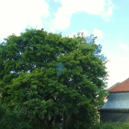 Apartament Politechniczna 12 Apartament