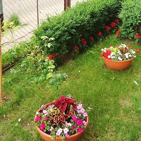 Apartament Politechniczna 12