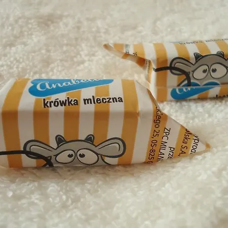 Apartament Apartament Politechniczna 12 Gdańsk