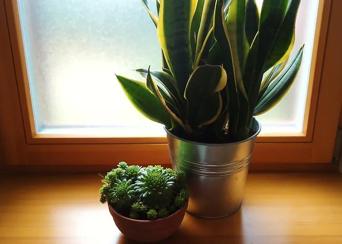 Apartament Politechniczna 12 דירה