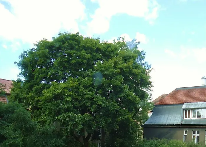 Apartament Politechniczna 12 דירה