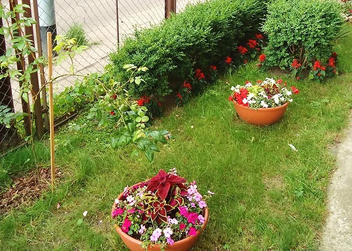 Apartament Politechniczna 12