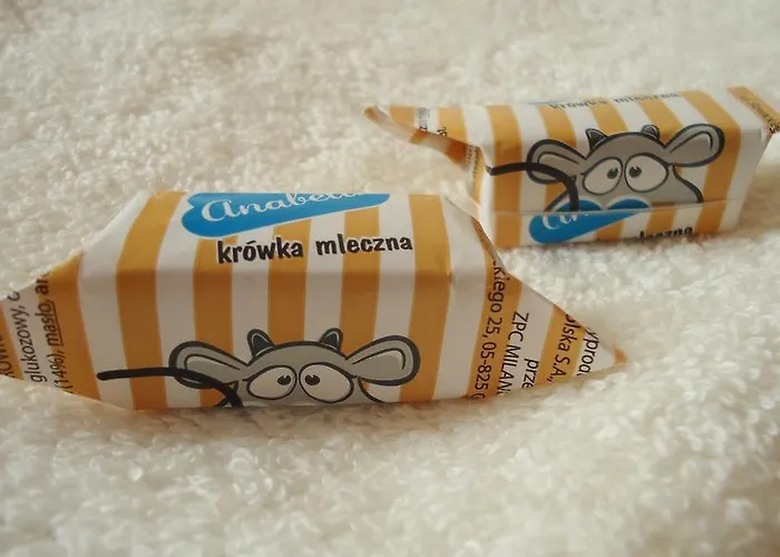 Apartment Apartament Politechniczna 12 Danzig